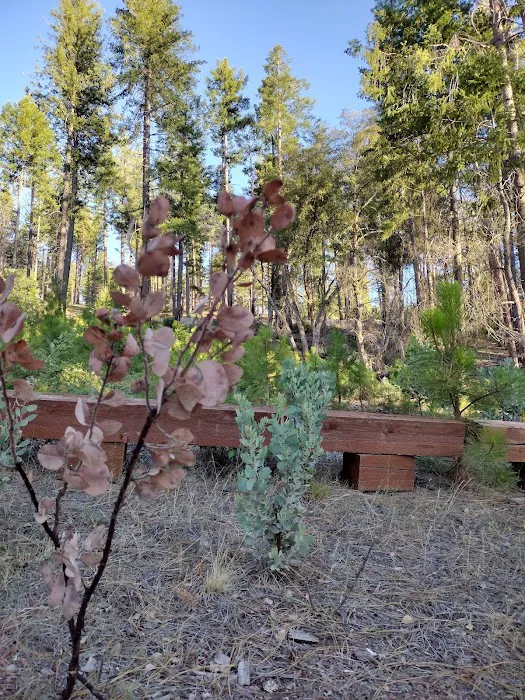 Old Mill Campground Picture 5