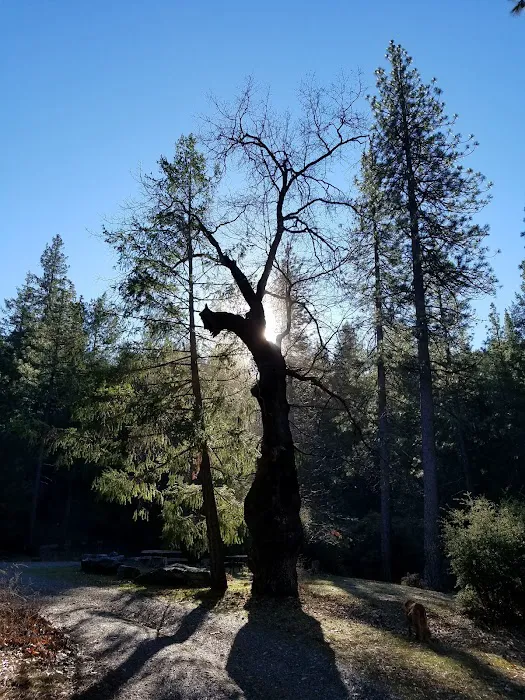 Dixie Glade Campground Picture 2