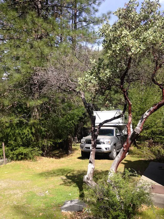 Dixie Glade Campground Picture 8