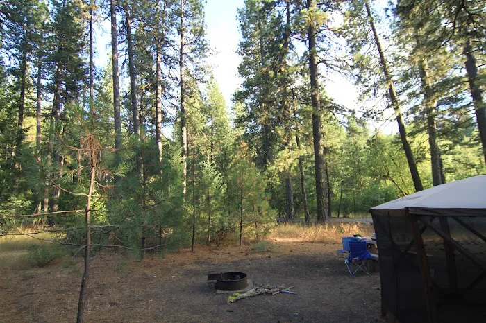 Mill Valley Picture 2