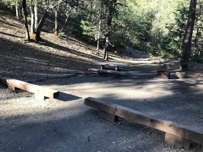Mill Valley Picture 4