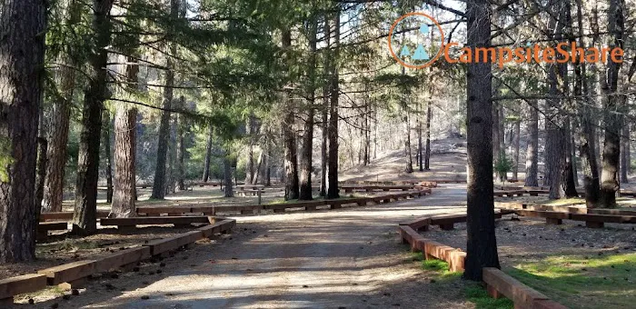 Mill Valley Picture 10