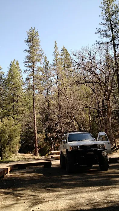 Mill Valley Picture 6