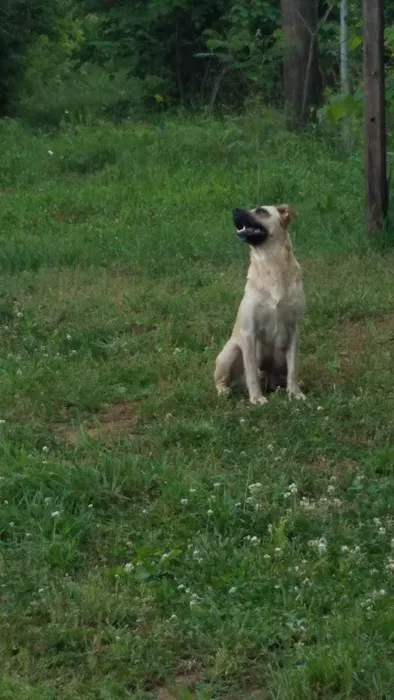 Ridgeview Mobile Home Park Picture 6