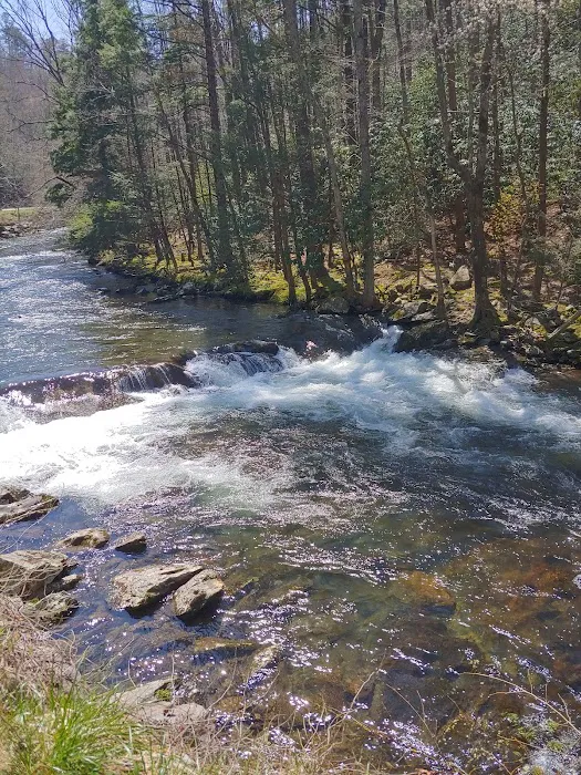 Creekside RV Park Picture 5