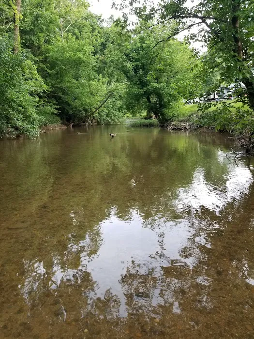 Creekside RV Park Picture 10