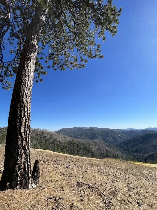Summit Springs Campground Picture 9