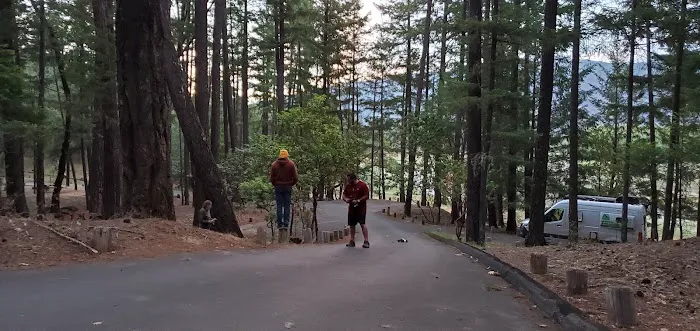 Fuller Grove Campground Picture 8