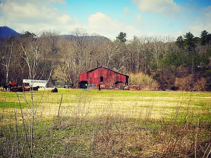 Brookside RV Resort Picture 2