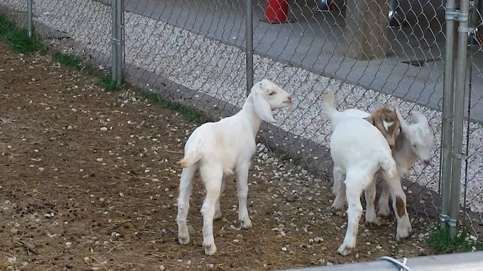 Brookside RV Resort Picture 6