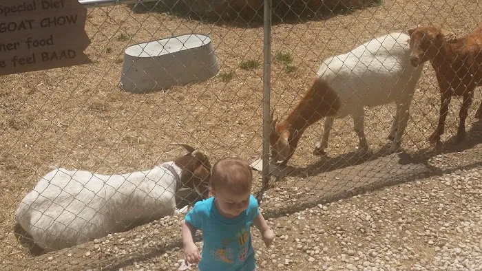 Brookside RV Resort Picture 9