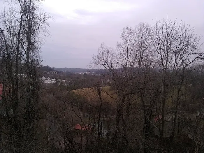 Westbury Oaks Picture 5