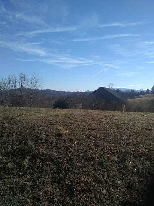 Westbury Oaks Picture 1