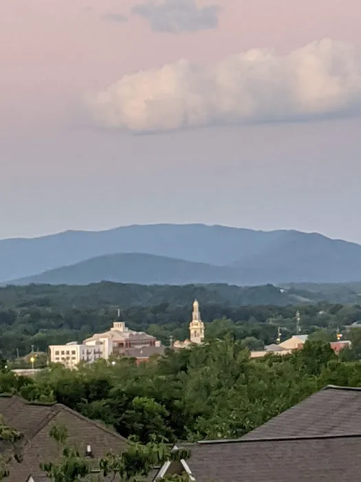 Westbury Oaks Picture 4