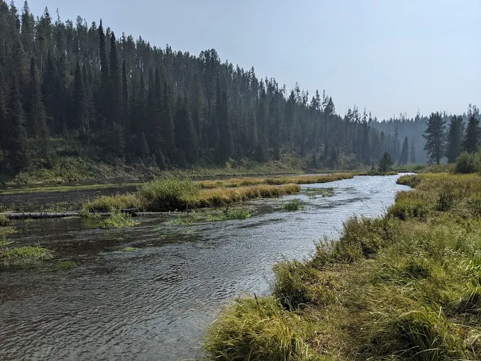 Warm River Cabin Picture 2