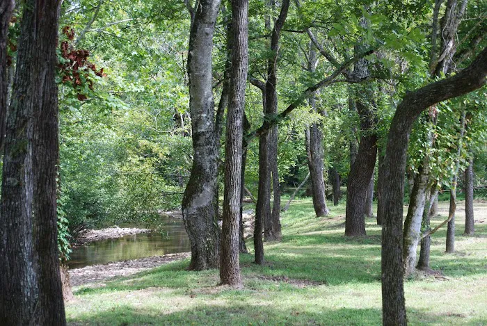 Up the Creek RV Camp Picture 3