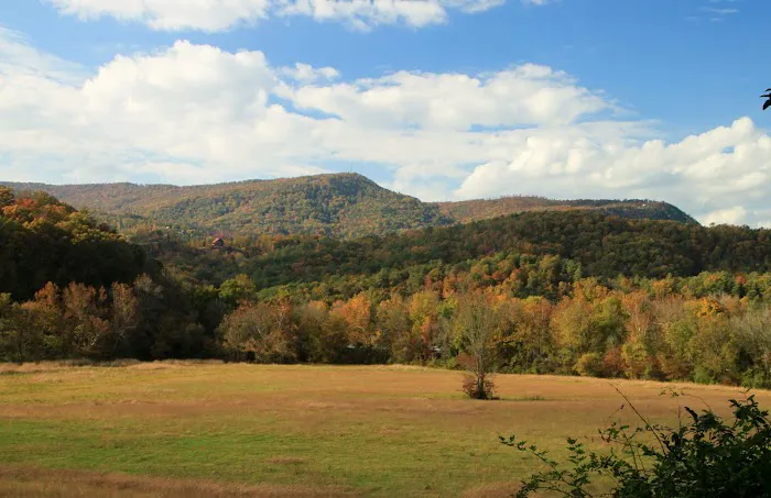 Up the Creek RV Camp Picture 6