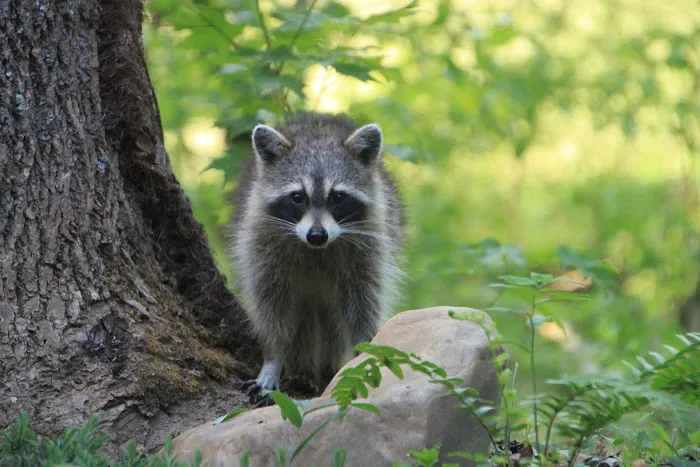 Up the Creek RV Camp Picture 10