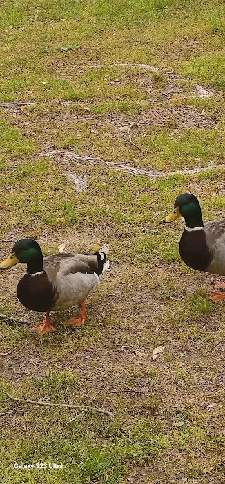 Happy Holiday RV Village Picture 8