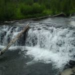 Upper Boundary Creek