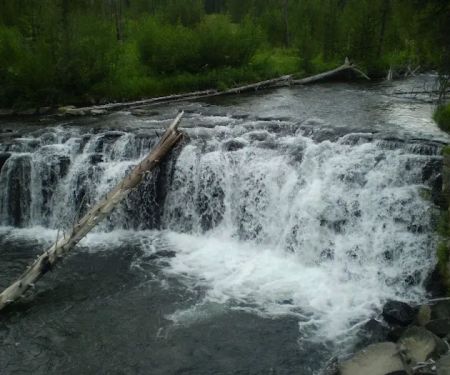 Upper Boundary Creek