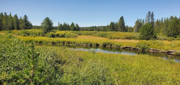 Lower Boundary Creek 9B1 Picture 6