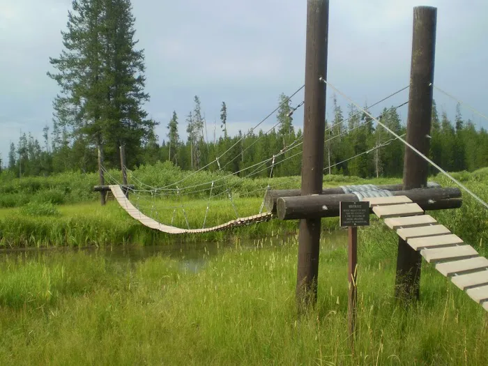 Lower Boundary Creek 9B1 Picture 1