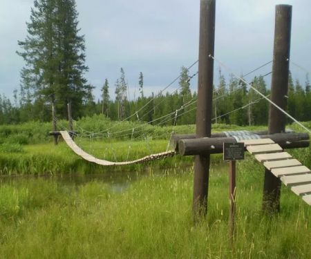 Lower Boundary Creek 9B1