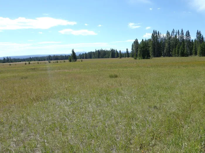 Lower Boundary Creek 9B1 Picture 9