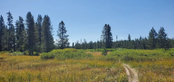 Lower Boundary Creek 9B1 Picture 8