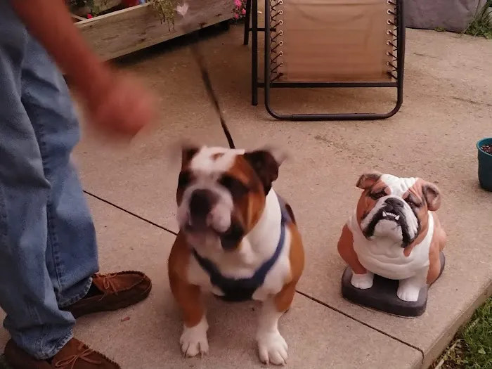 Rippling Waters Creekside RV Park Picture 6