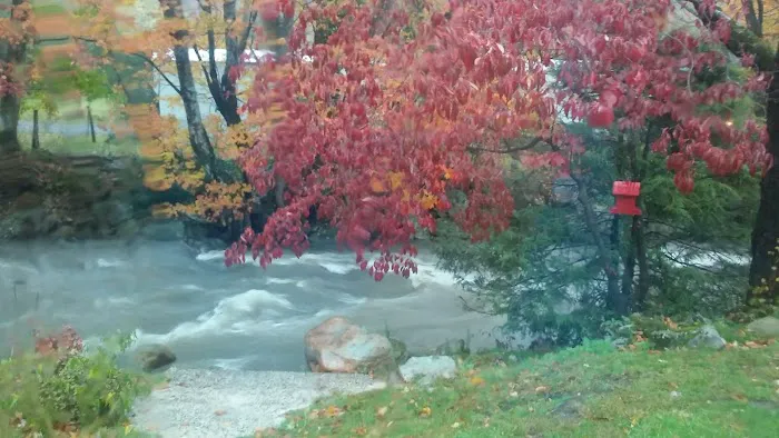 Rippling Waters Creekside RV Park Picture 10