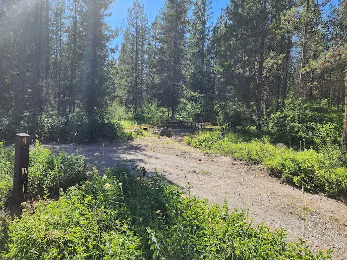 Cave Falls Campground Picture 1