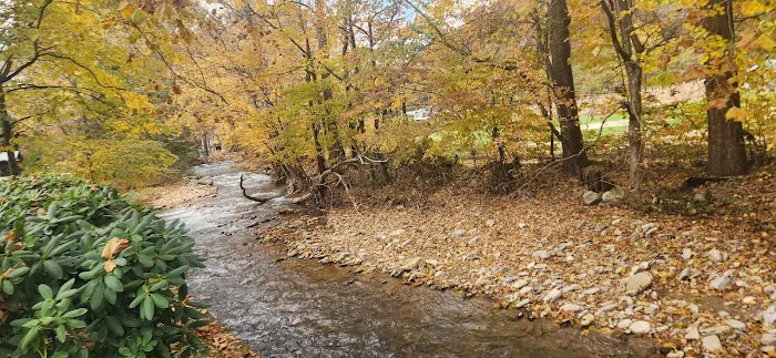 Maggie Valley RV Resort Picture 4