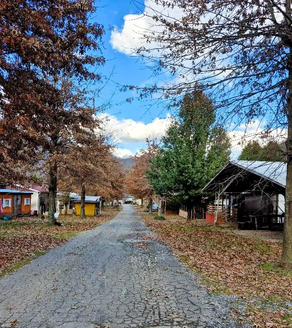 Maggie Valley RV Resort Picture 5