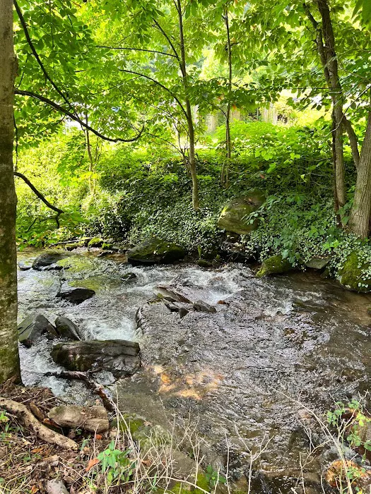 Hemphill Hideaway RV Park Picture 3