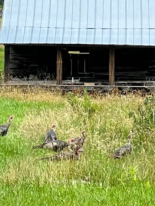 Hemphill Hideaway RV Park Picture 6