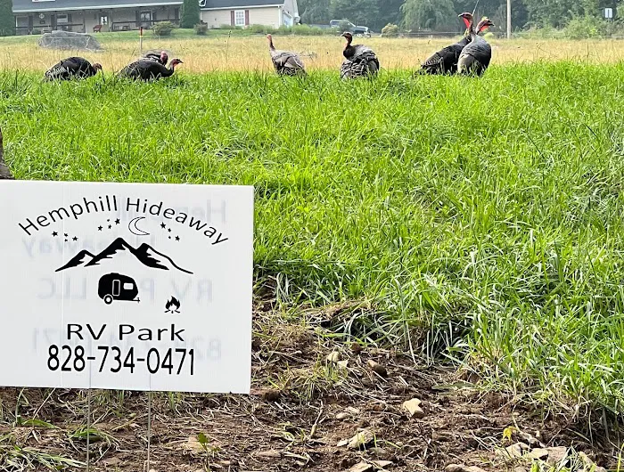 Hemphill Hideaway RV Park Picture 10