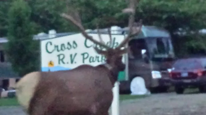 Cross Creek RV Park Picture 6