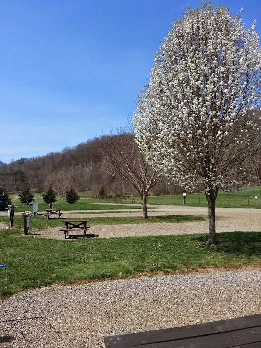 Cross Creek RV Park Picture 1