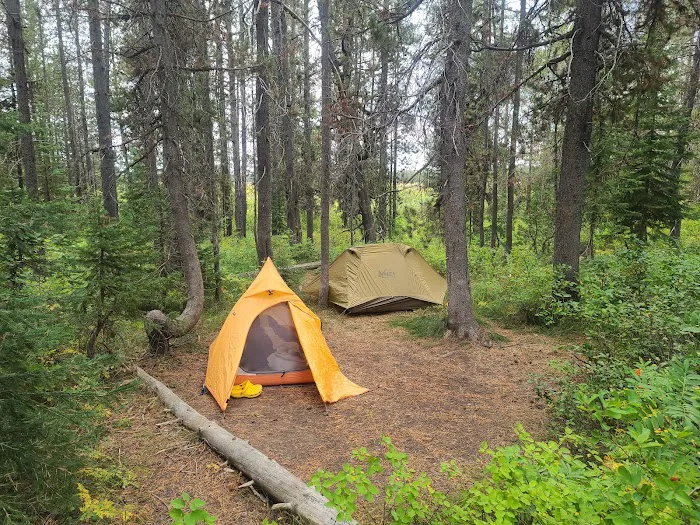 Bechler Ford 9B2 Picture 4