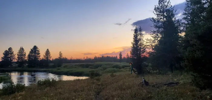 Bechler Ford 9B2 Picture 2