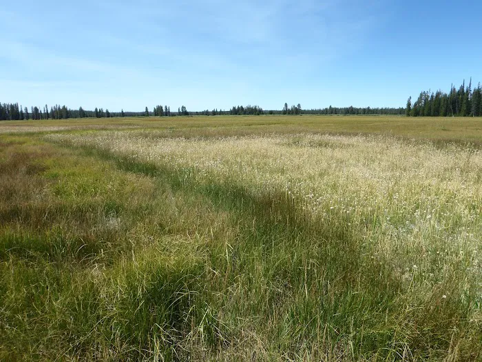 Bechler Ford 9B2 Picture 7