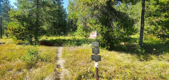 Bechler Ford 9B2 Picture 6