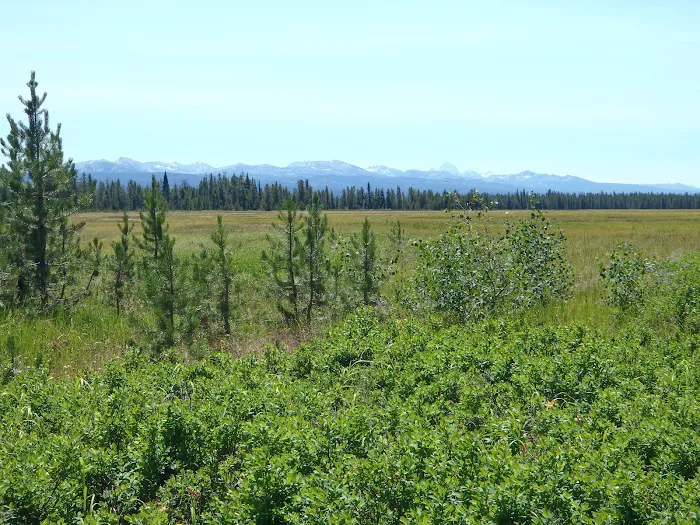 Bechler Ford 9B2 Picture 8