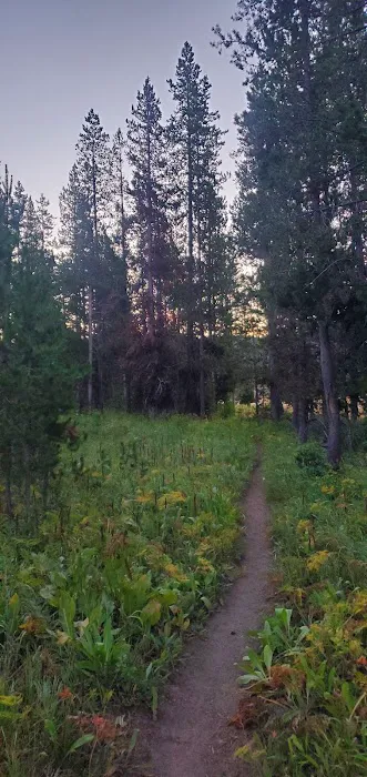 Bechler Ford 9B2 Picture 9