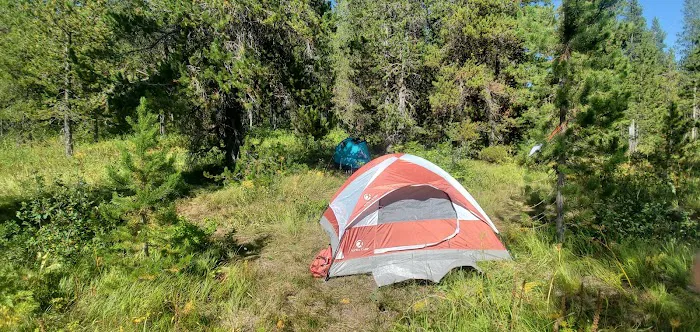 Bechler Ford 9B2 Picture 5