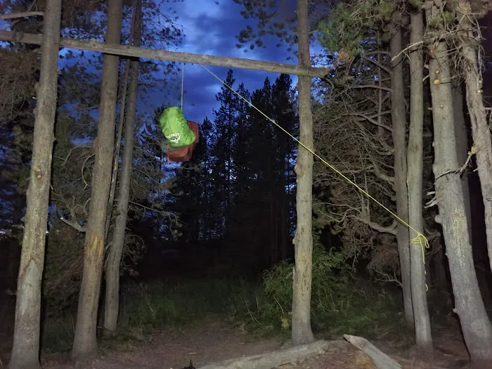 Bechler Ford 9B2 Picture 10