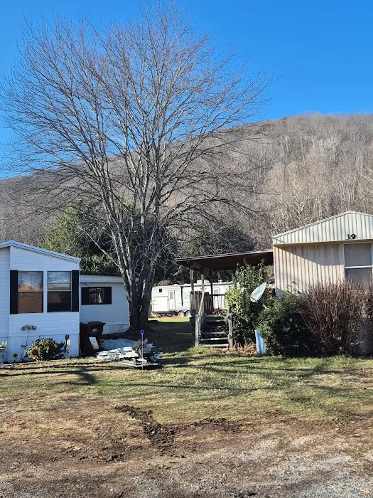 Maggie Valley Estates Picture 2