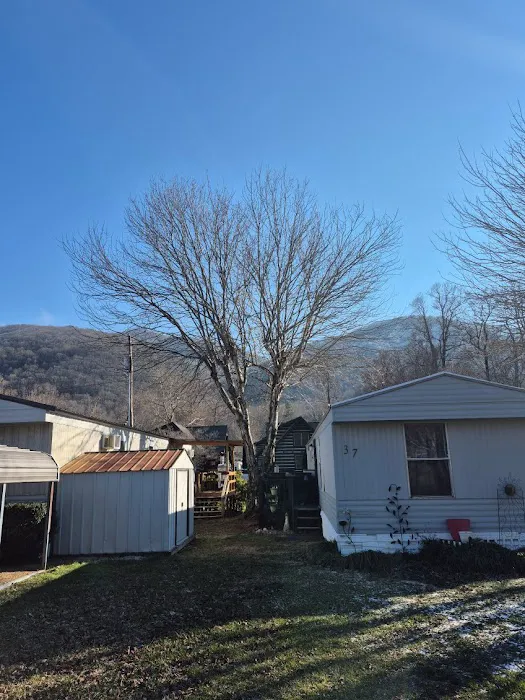 Maggie Valley Estates Picture 4